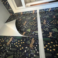 Rifle Paper Co. Menagerie 20' L x 27